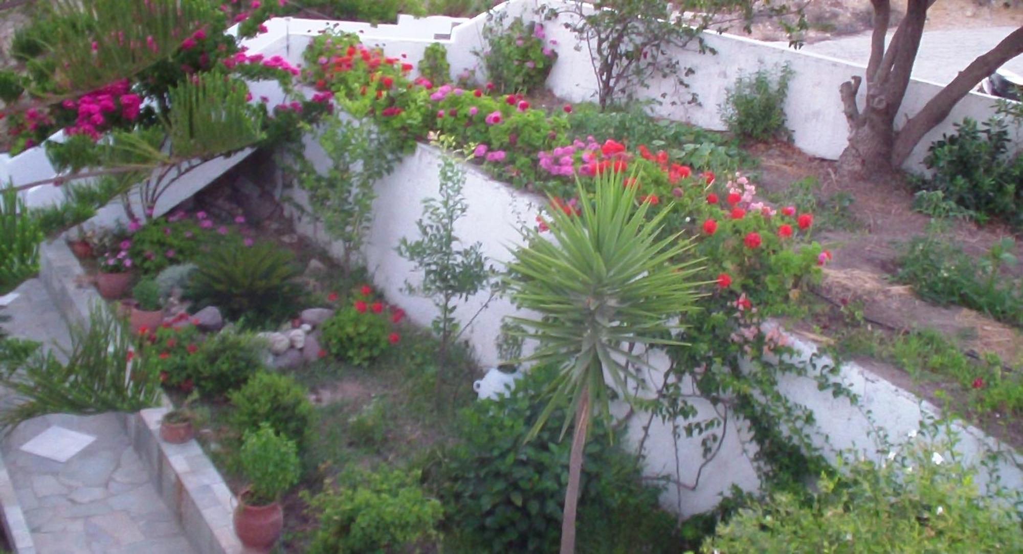 Creta Vassakis Studios Kefalos  Bagian luar foto