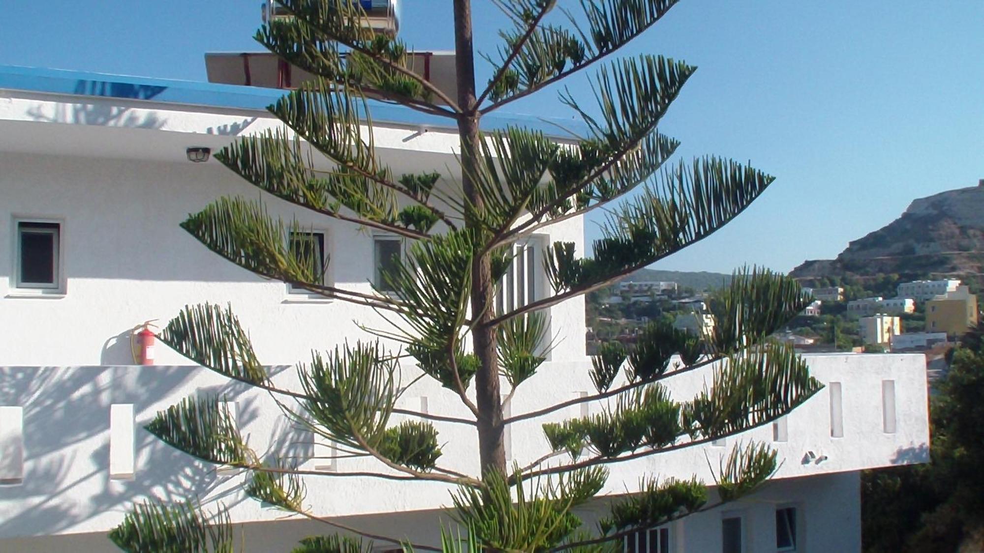 Creta Vassakis Studios Kefalos  Bagian luar foto