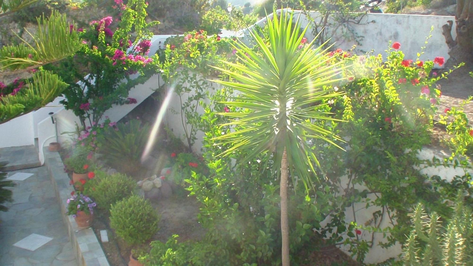 Creta Vassakis Studios Kefalos  Bagian luar foto