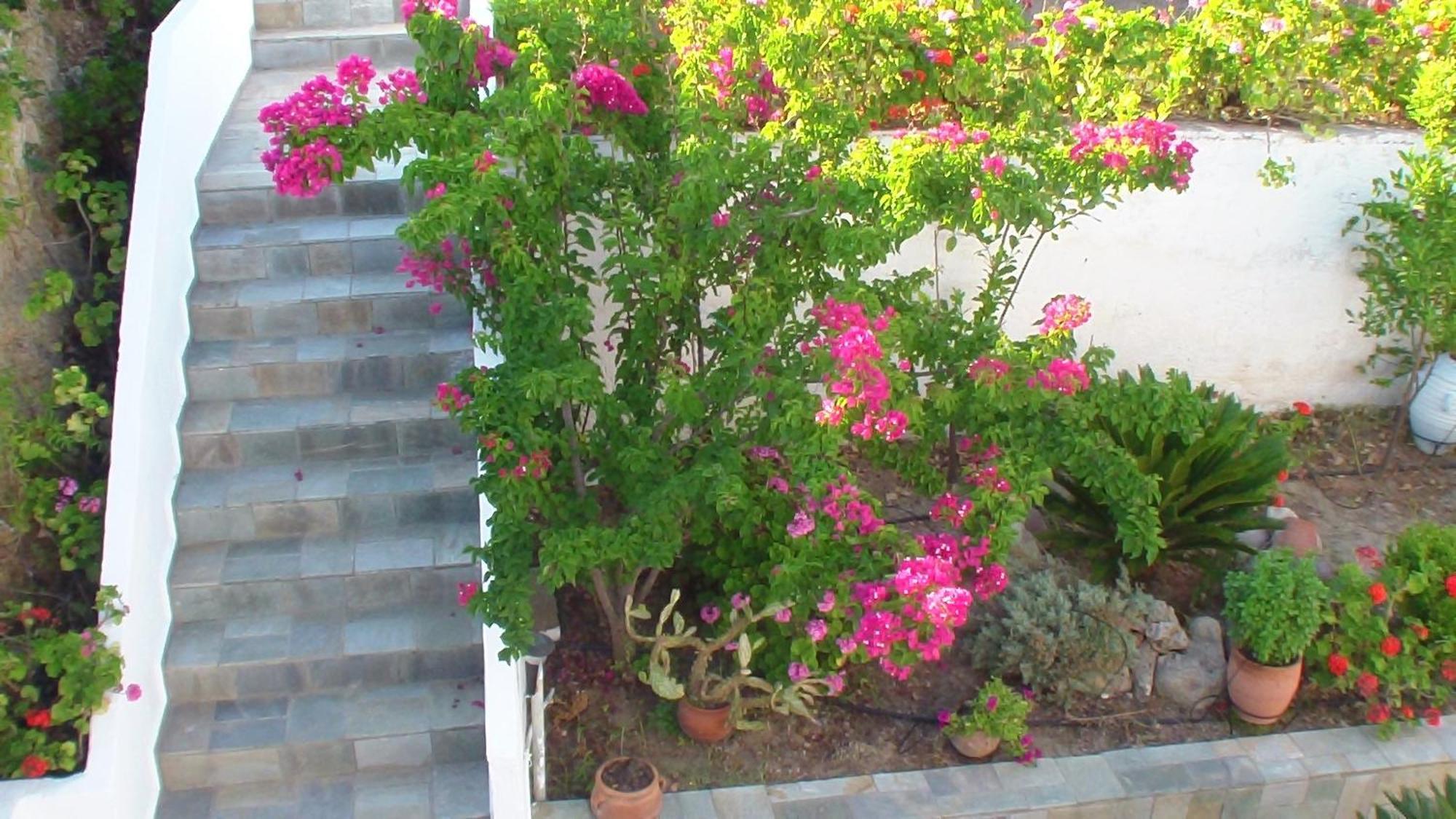 Creta Vassakis Studios Kefalos  Bagian luar foto
